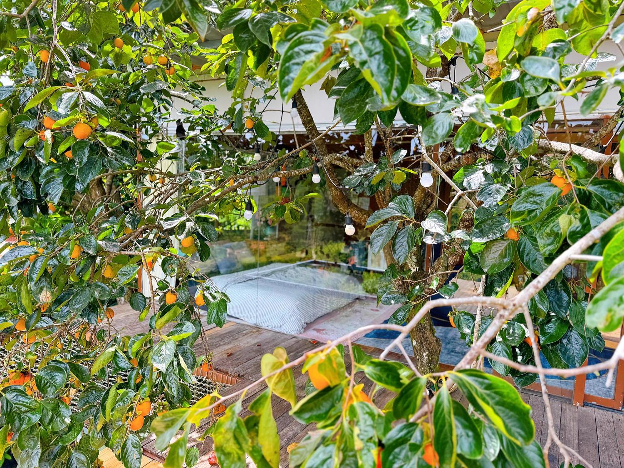 An Yen Villa Dalat Exterior foto